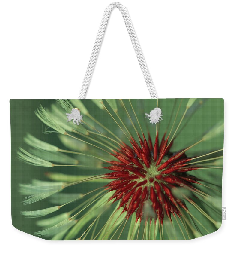 Mountain Weekender Tote Bag featuring the photograph Make a Wish by Go and Flow Photos