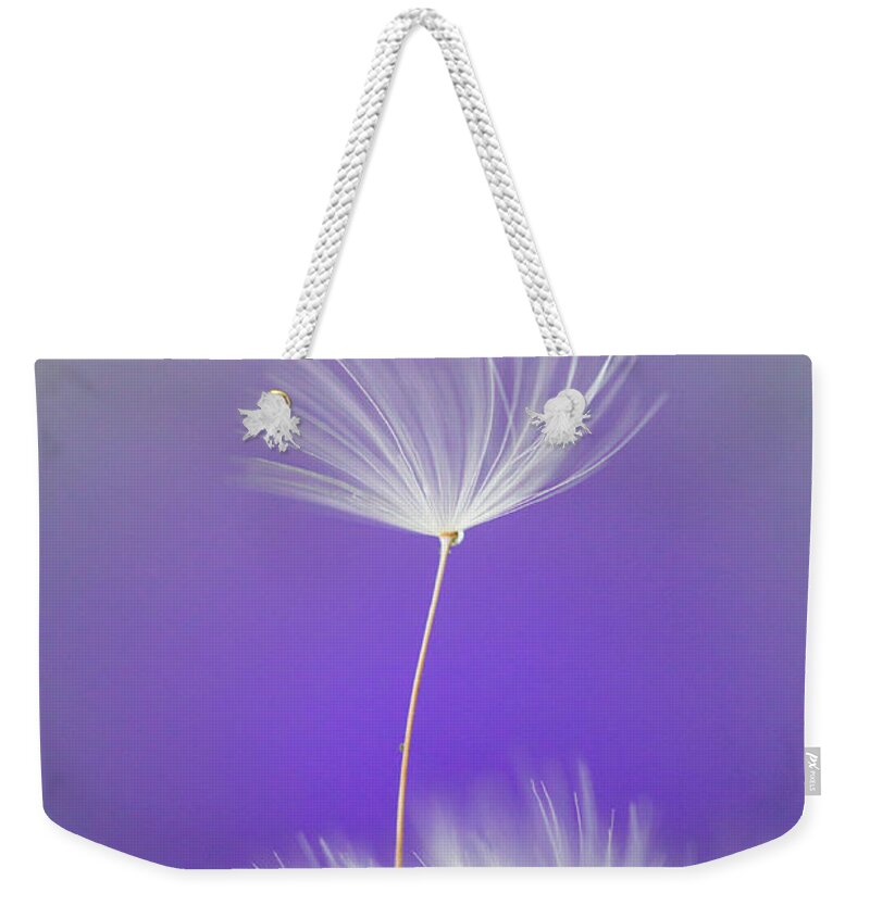 Abstract Weekender Tote Bag featuring the photograph Make a Wish - on Purple by Anita Nicholson