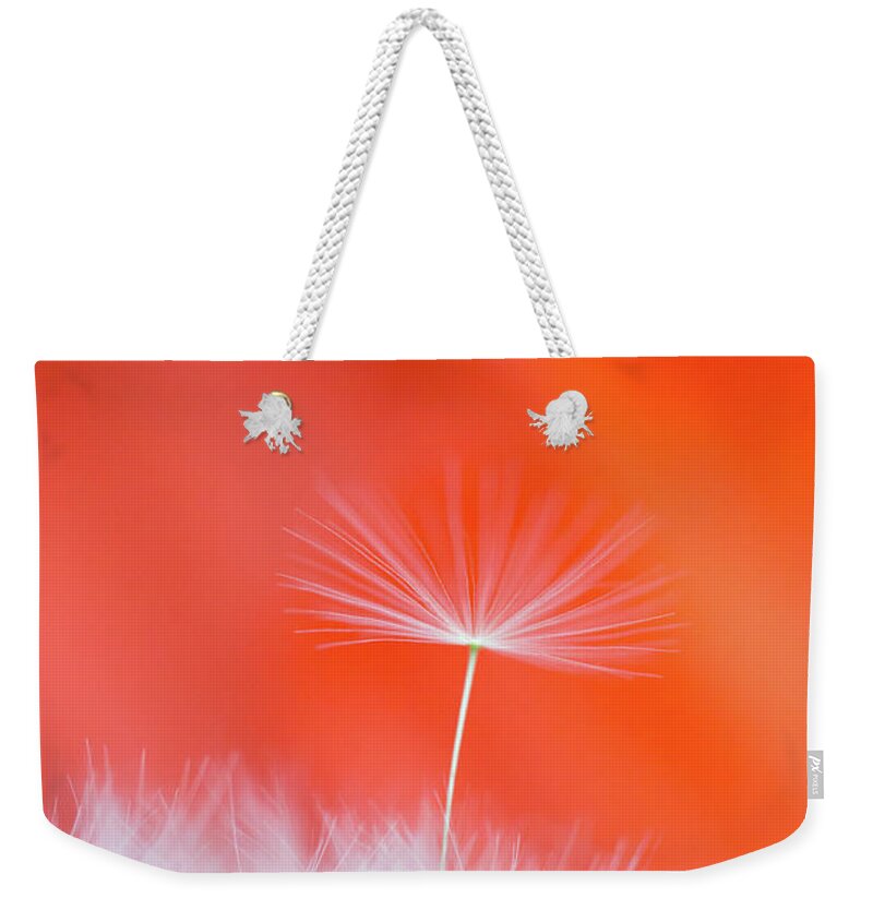 Ideas Weekender Tote Bag featuring the photograph Make a Wish - on Red by Anita Nicholson