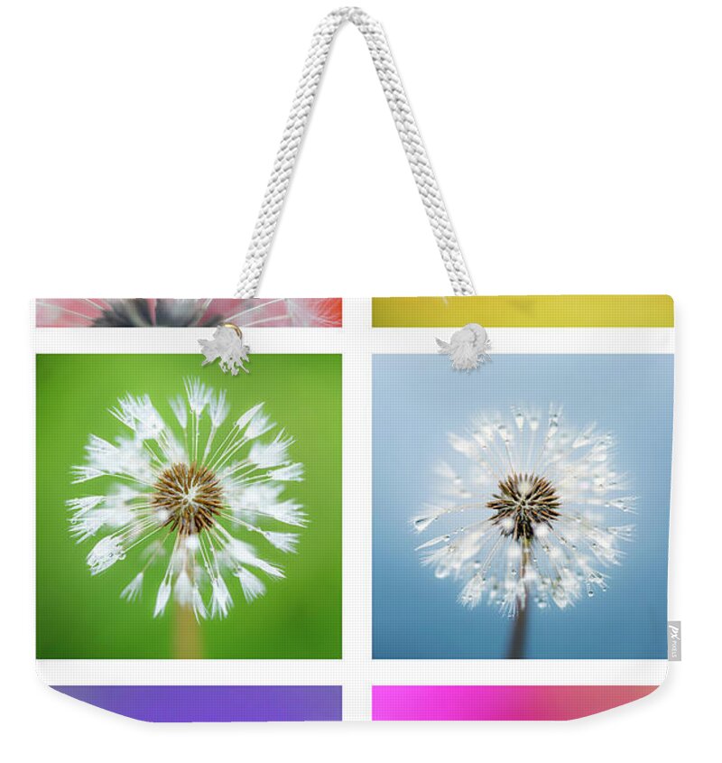 Abstract Weekender Tote Bag featuring the photograph Make a Wish - Rainbow by Anita Nicholson