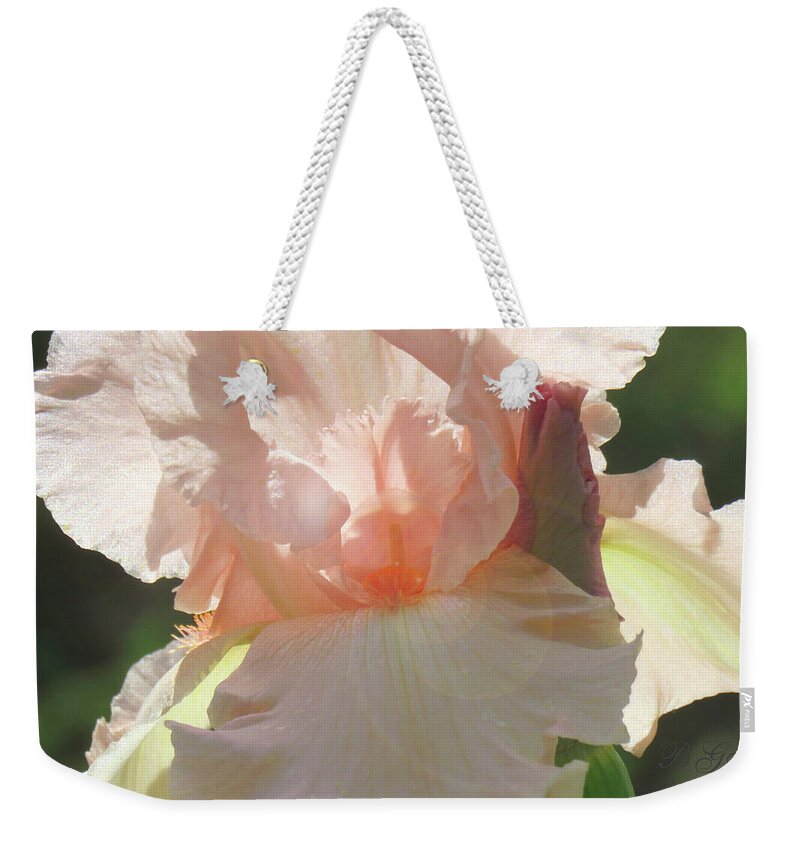 Iris Weekender Tote Bag featuring the photograph Making Her Entrance Again - Iris and Bud - Spring Flowers - Floral Photographic Art by Brooks Garten Hauschild