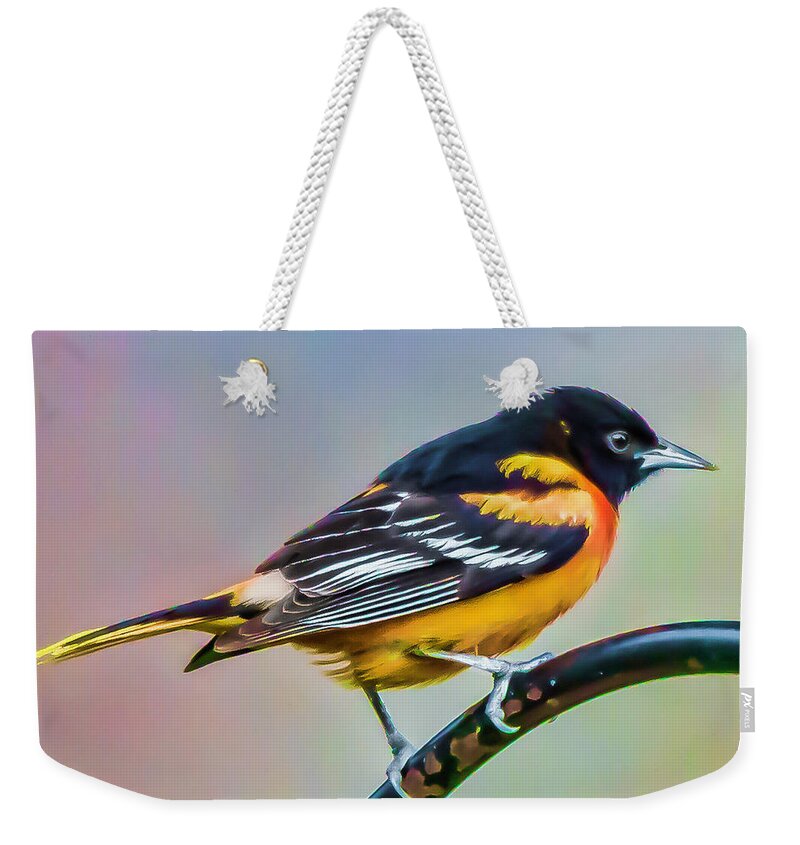 Baltimore Oriole Weekender Tote Bag featuring the photograph Male Baltimore Oriole by Joe Granita