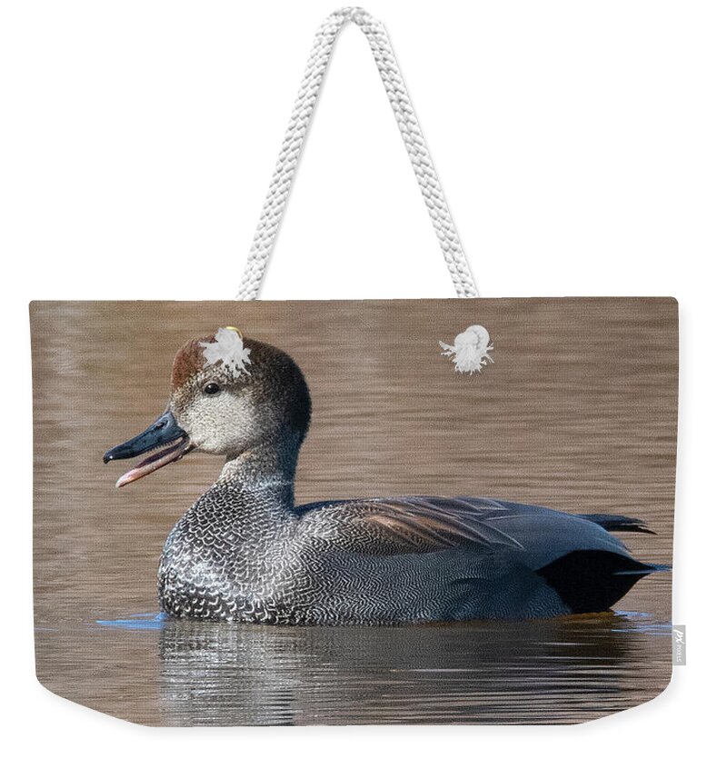 Nature Weekender Tote Bag featuring the photograph Male Common Gadwall DWF0226 by Gerry Gantt