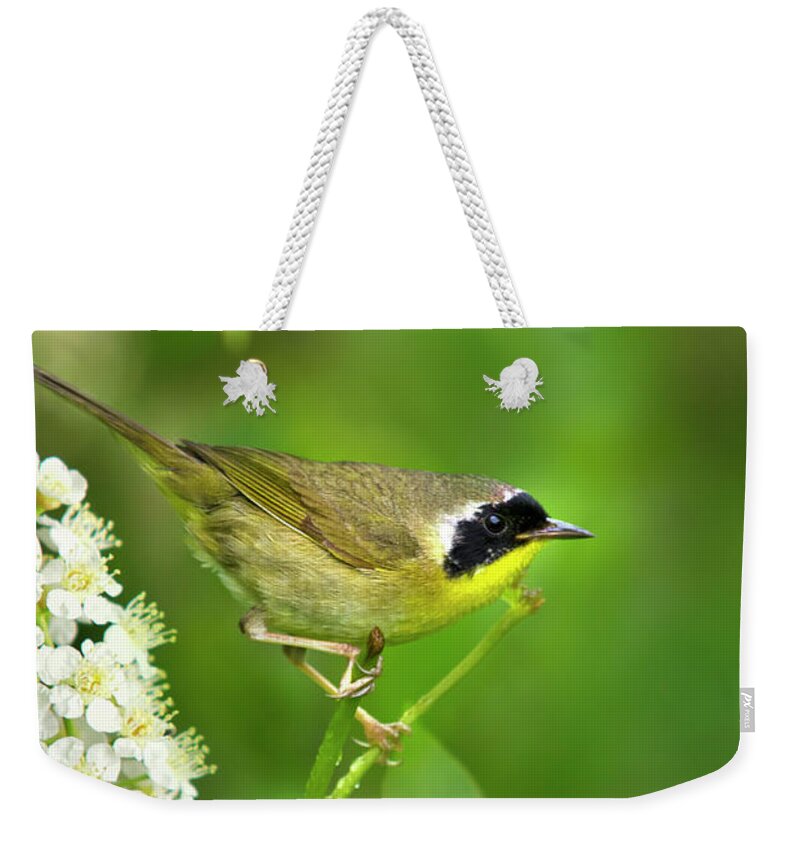 Warbler Weekender Tote Bag featuring the photograph Male Common Yellowthroat Warbler by Christina Rollo