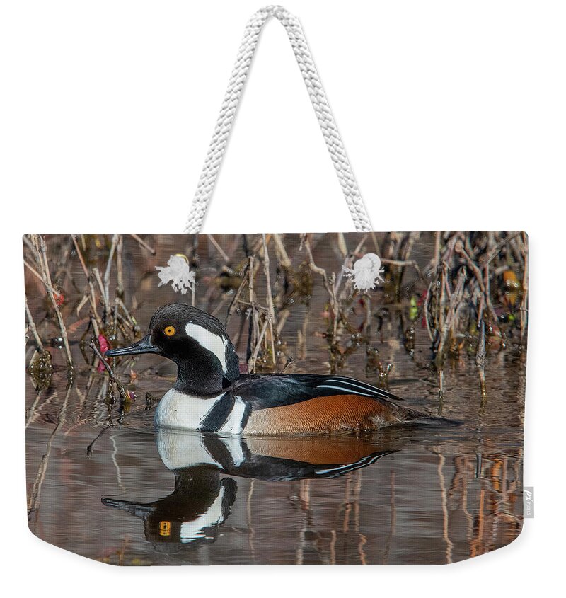 Nature Weekender Tote Bag featuring the photograph Male Hooded Merganser DWF0231 by Gerry Gantt