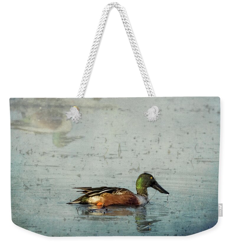 Northern Shoveler Weekender Tote Bag featuring the photograph Male Northern Shoveler and Company by Belinda Greb