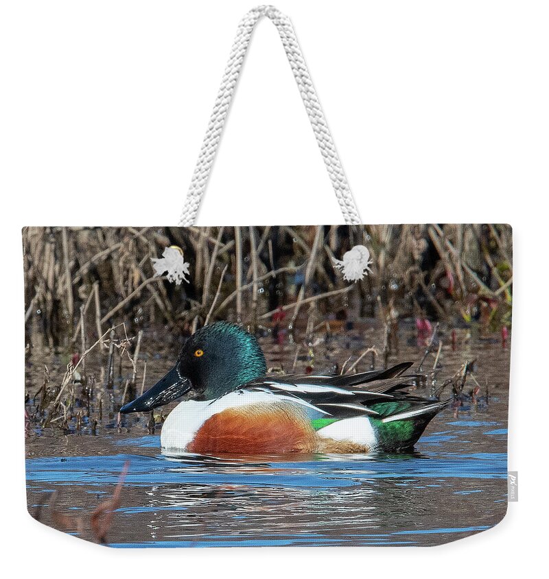 Nature Weekender Tote Bag featuring the photograph Male Northern Shoveler DWF0233 by Gerry Gantt