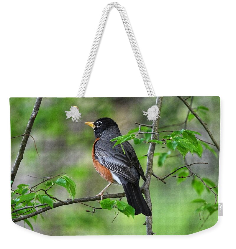 Photo Weekender Tote Bag featuring the photograph Male Robin in Tree by Evan Foster