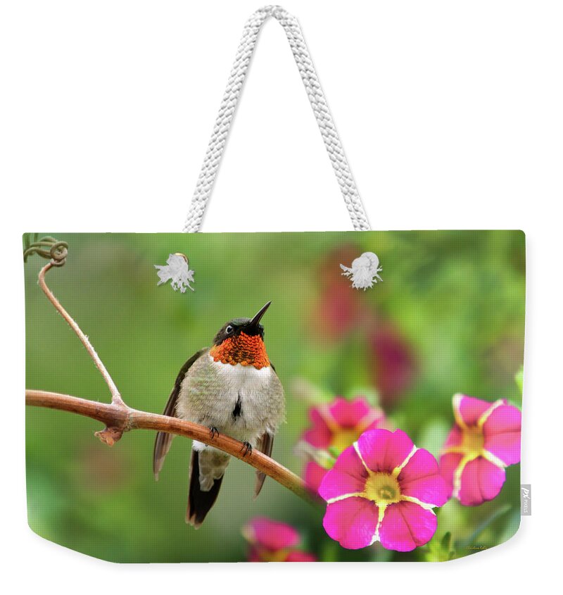 Hummingbird Weekender Tote Bag featuring the photograph Male Ruby Throated Hummingbird by Christina Rollo