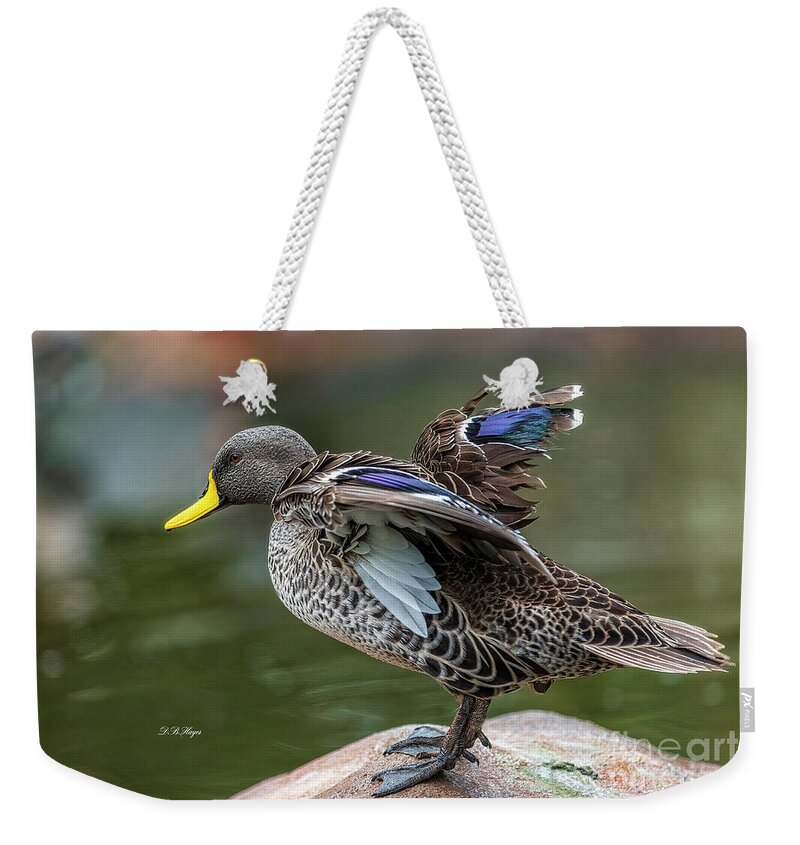 Ducks Weekender Tote Bag featuring the photograph Mallard by DB Hayes