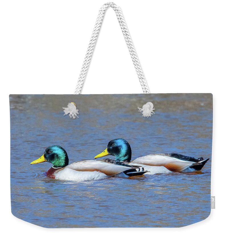 Nature Weekender Tote Bag featuring the photograph Mallard Drakes DWF0228 by Gerry Gantt