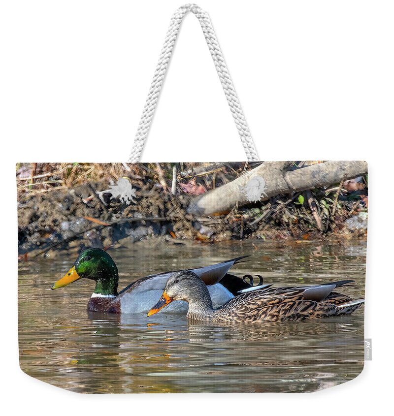 Nature Weekender Tote Bag featuring the photograph Mallard Ducks Pair DWF0244 by Gerry Gantt