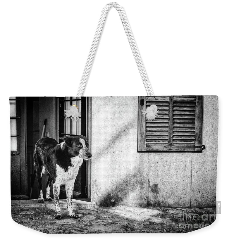 Dog Weekender Tote Bag featuring the photograph Mallorca Spotted Dog by Becqi Sherman