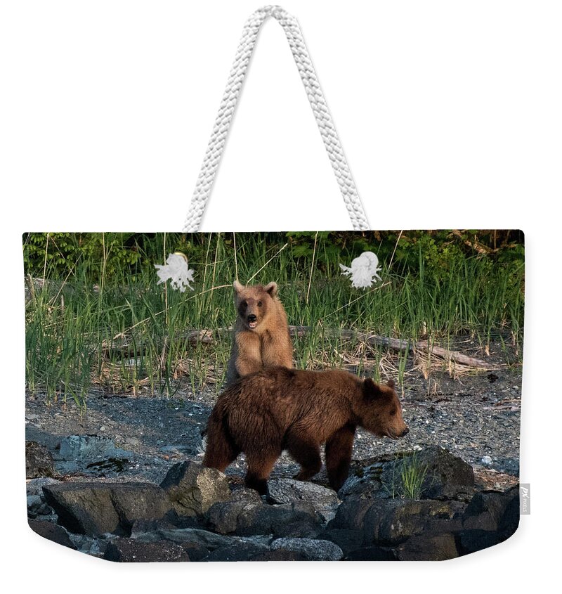 Brown Bears Weekender Tote Bag featuring the photograph Mama and Cub by David Kirby