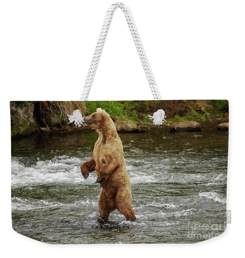 Grizzly Weekender Tote Bag featuring the photograph Mama Bear on the Lookout by Terri Cage