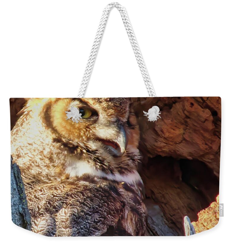  Weekender Tote Bag featuring the photograph Mama Owl by Jack Wilson