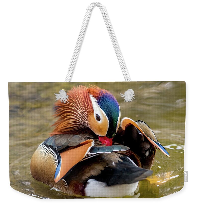 Mandarin Ducks Weekender Tote Bag featuring the photograph Mandarin Duck Preening Feathers by Judi Dressler