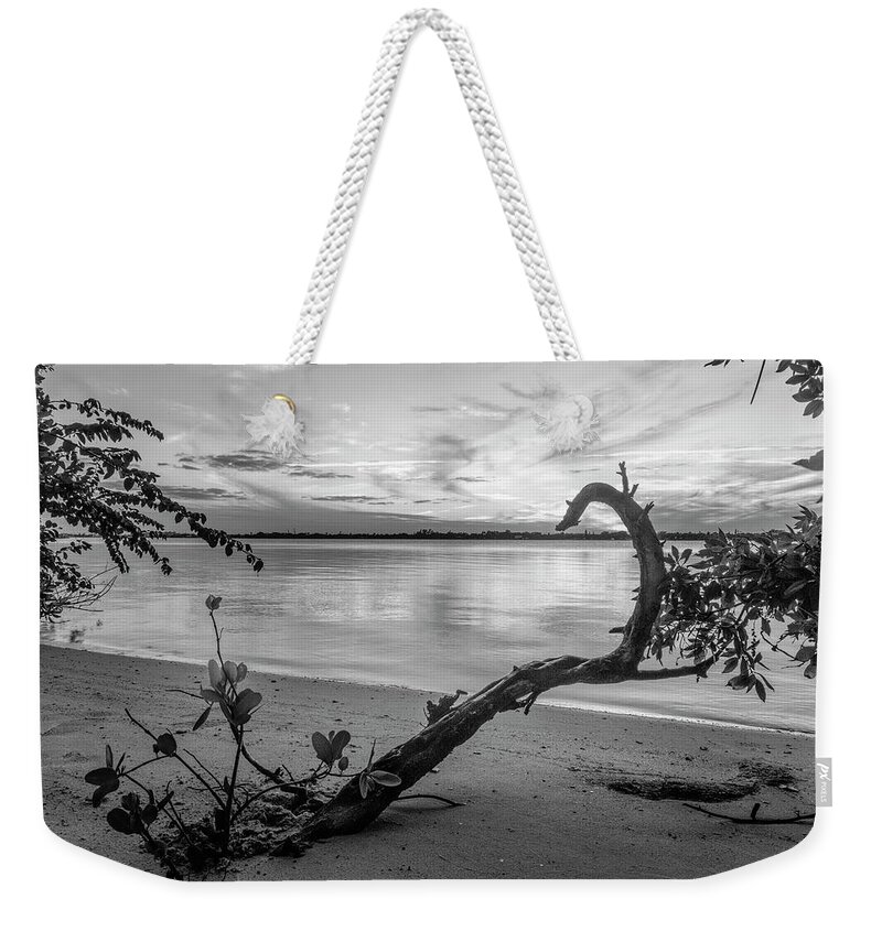 Black Weekender Tote Bag featuring the photograph Mangroves Black and White by Debra and Dave Vanderlaan