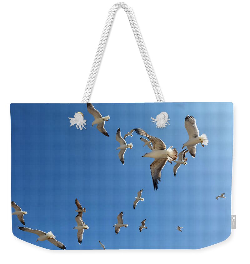 Sky Weekender Tote Bag featuring the photograph Many seagulls fly against the blue sky by Mikhail Kokhanchikov