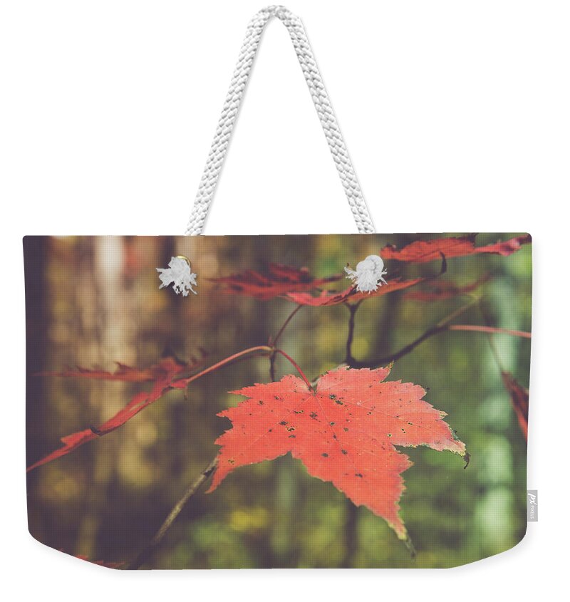 Maple Weekender Tote Bag featuring the photograph Maple I'll have another by Stacy Abbott