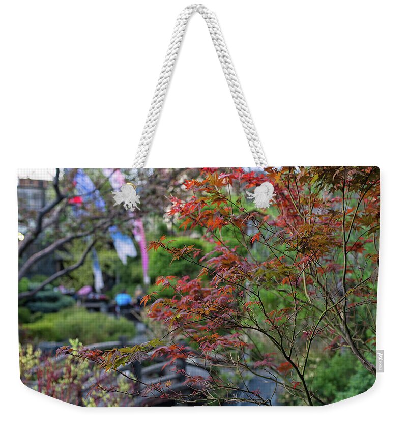 Maple Trees Weekender Tote Bag featuring the photograph Maple Leaves in fall by Doug Wittrock