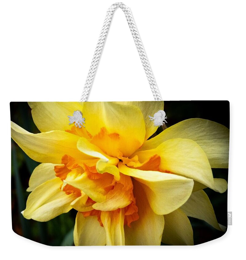 Flower Weekender Tote Bag featuring the photograph March Daffodil by Linda Stern