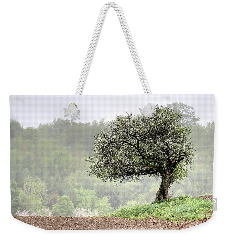 Trees Weekender Tote Bag featuring the photograph Marilla Tree by Don Nieman