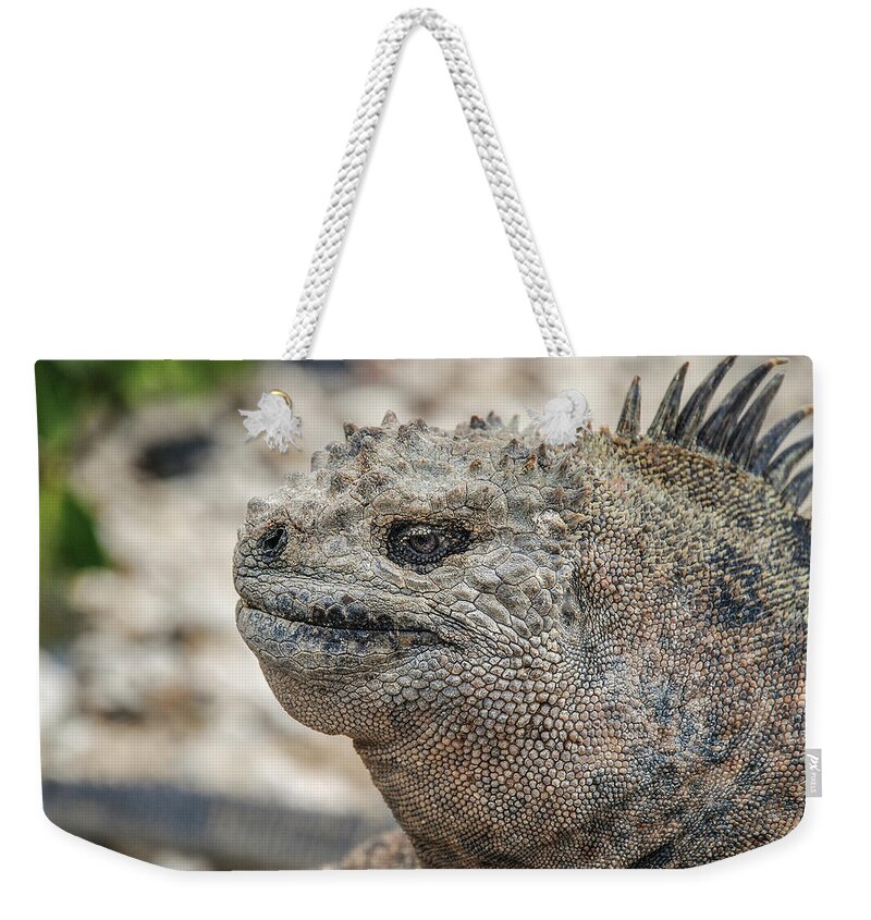 Ecuador Weekender Tote Bag featuring the photograph Marine Iguana close-up by Henri Leduc
