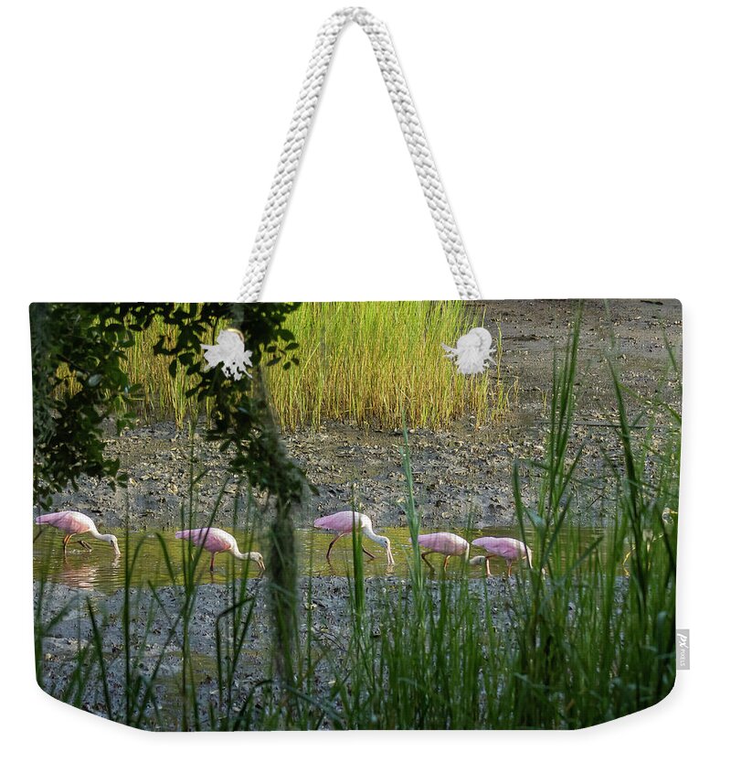 Roseate Spoonbill Weekender Tote Bag featuring the photograph Marsh Highway by Patricia Schaefer