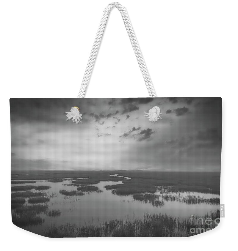 Landscapes Weekender Tote Bag featuring the photograph Marshes of Glynn 2 by DB Hayes