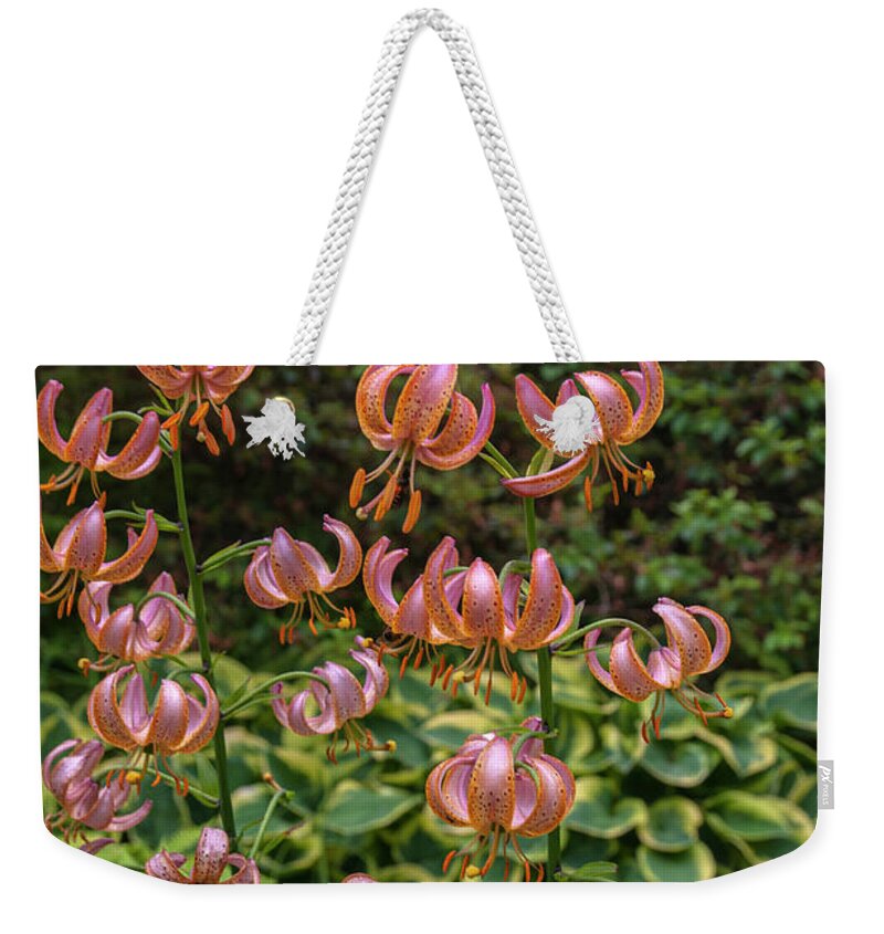 Evgeniya Vlasova Garden Photography Weekender Tote Bag featuring the photograph Martagon Lilium Fairy Morning in Woody Garden 2 by Jenny Rainbow
