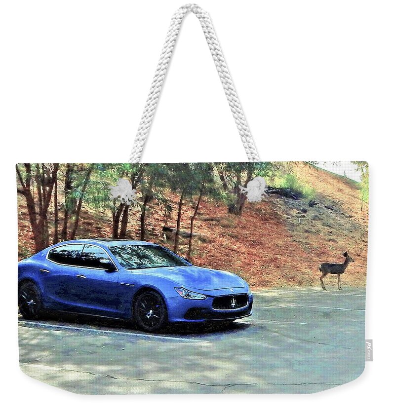 Deer Weekender Tote Bag featuring the photograph Maserati Deer by Andrew Lawrence