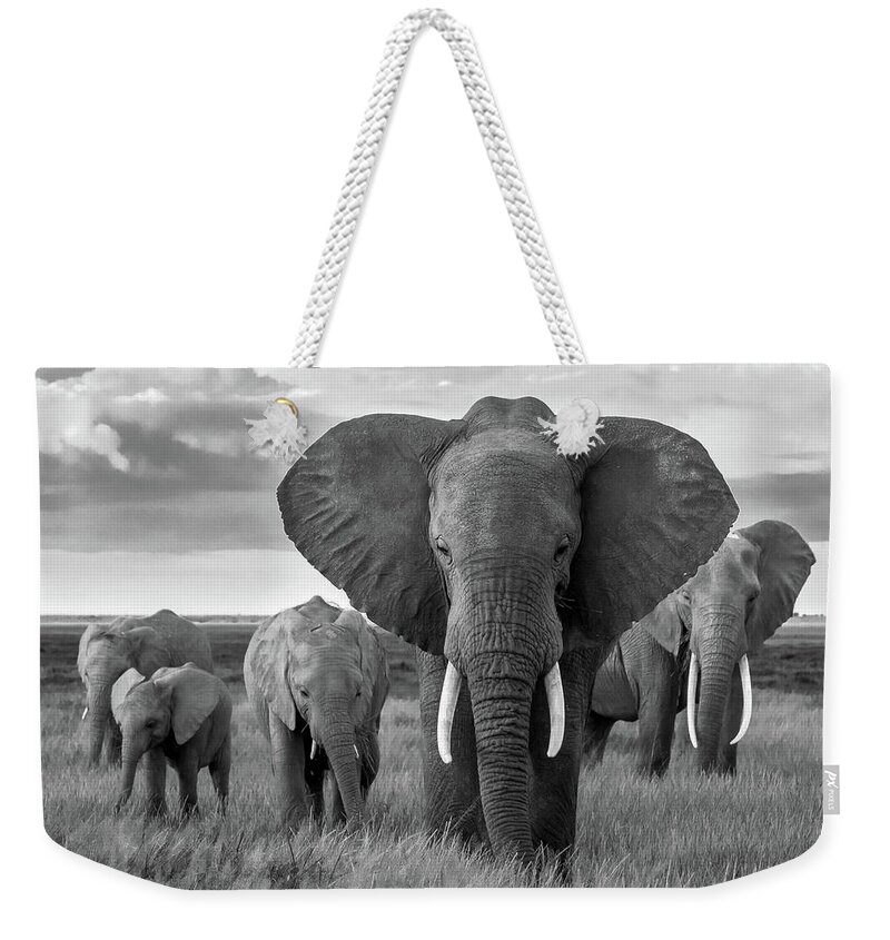 Africa Weekender Tote Bag featuring the photograph Matriarch by Eric Albright