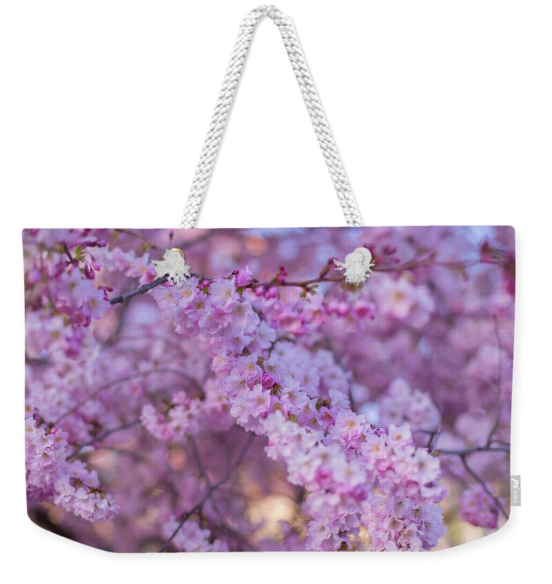 Cherry Blossoms Weekender Tote Bag featuring the photograph Matsuo blossoms by Kunal Mehra
