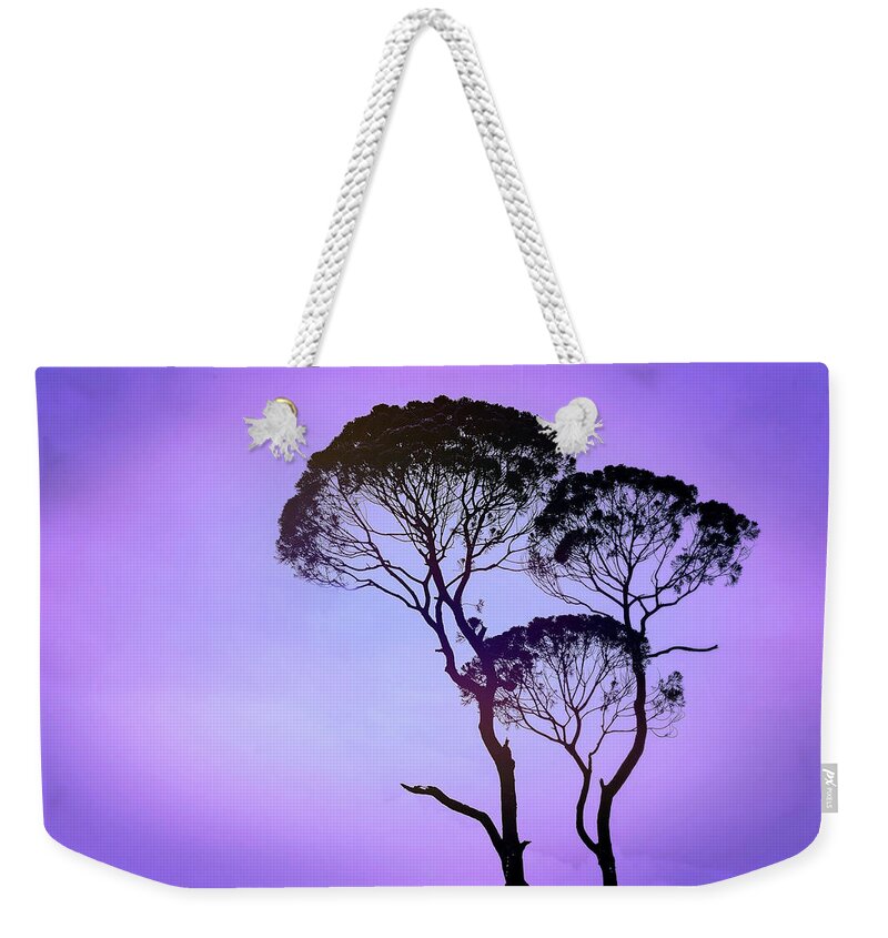 Mauve Morning Weekender Tote Bag featuring the photograph Mauve Morning by Susan Maxwell Schmidt