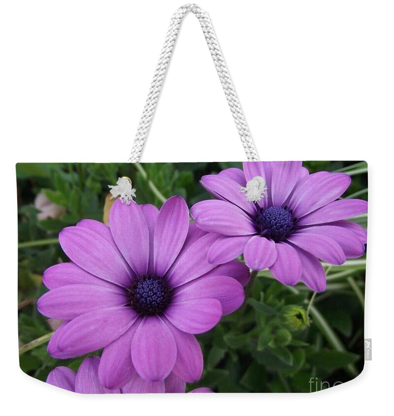 Flowers Weekender Tote Bag featuring the photograph Mauve Muses by Kimberly Furey