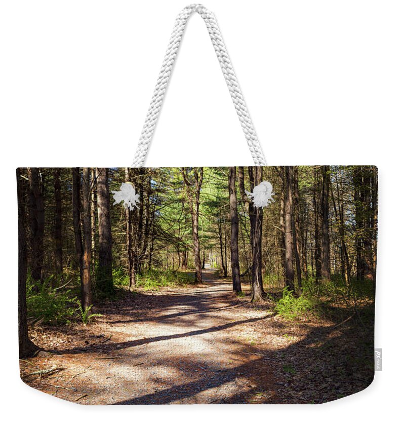 Forest Weekender Tote Bag featuring the photograph McDade Trail Delaware Water Gap by Amelia Pearn
