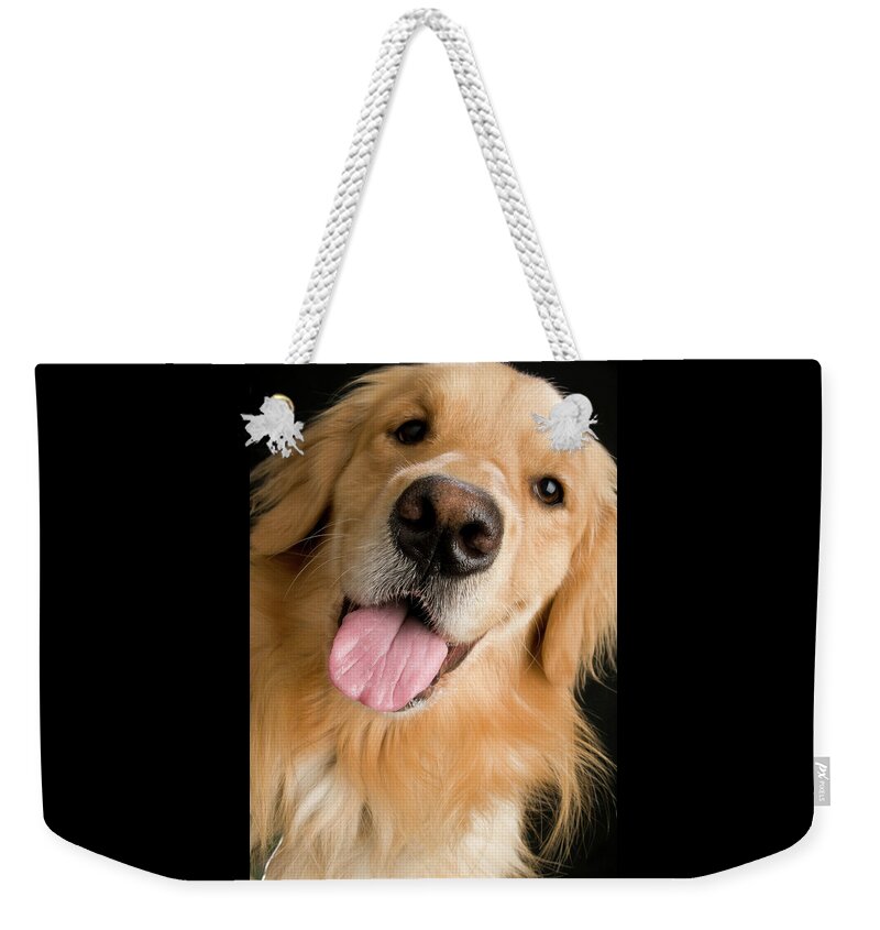 Golden Retriever Dog Weekender Tote Bag featuring the photograph McGoo by Robert Dann