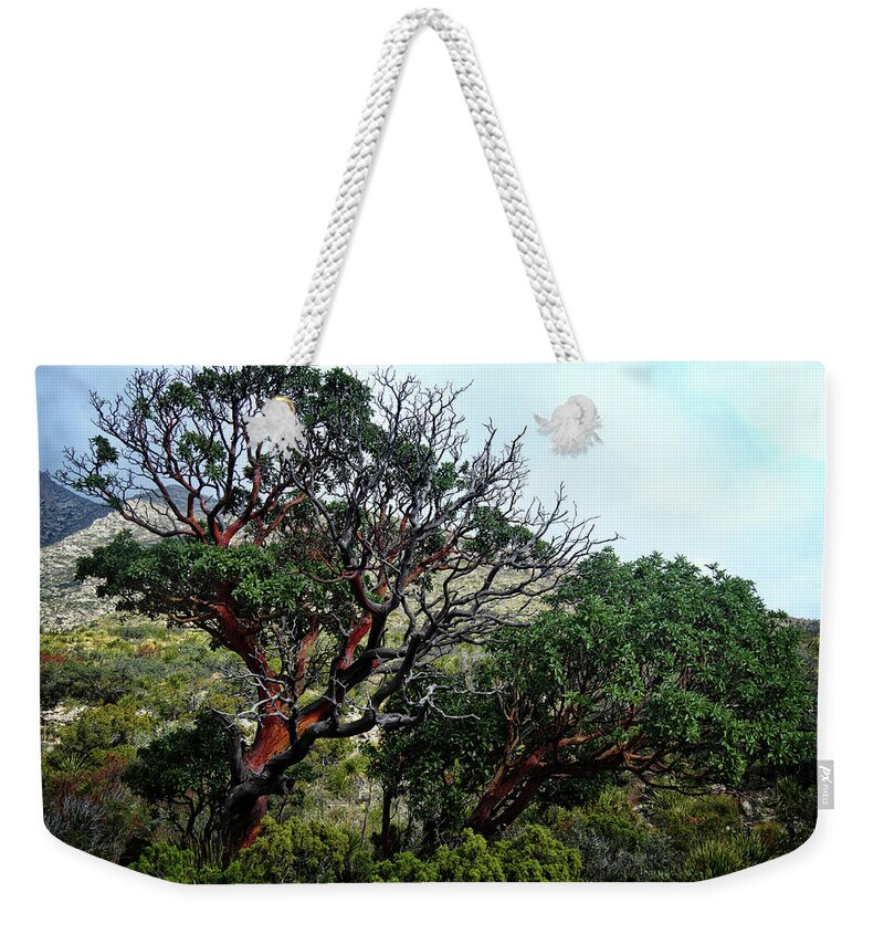 Texas Weekender Tote Bag featuring the photograph McKittrick Canyon Trees by George Taylor