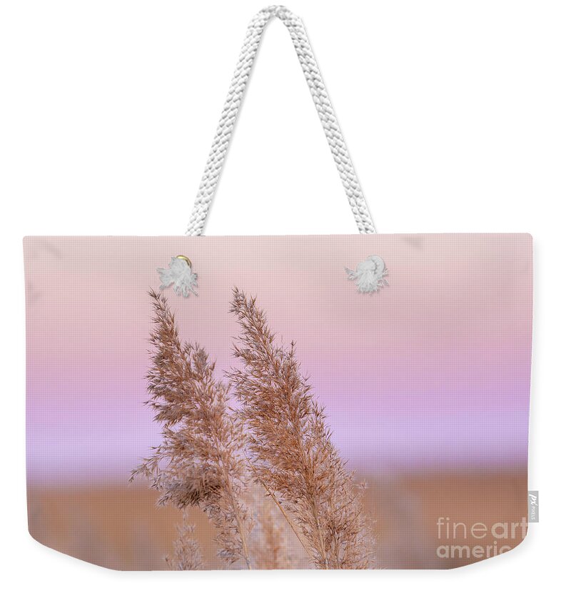 Meadow Grass Weekender Tote Bag featuring the photograph Meadow breeze by Rehna George