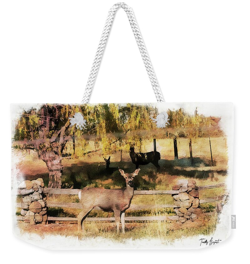 Meadow Weekender Tote Bag featuring the photograph Meadow Deer w/ Dream Vignette Border by Tammy Bryant