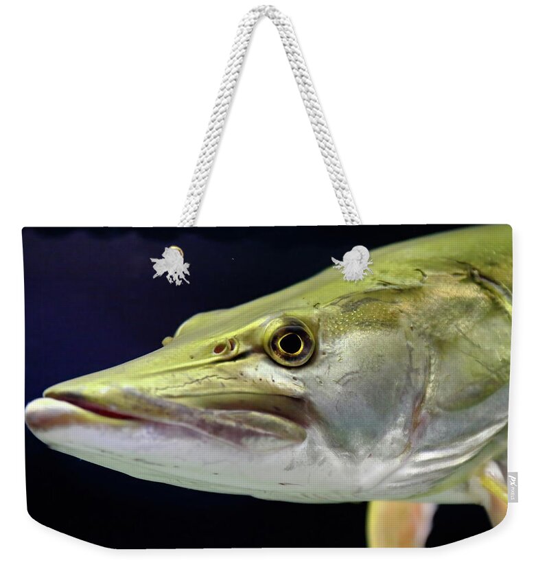 Fishing Weekender Tote Bag featuring the photograph Mean Muskie by Lens Art Photography By Larry Trager