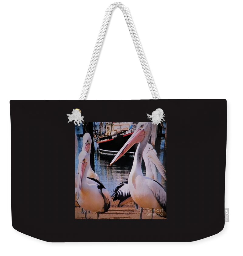 Pelican Weekender Tote Bag featuring the photograph Meet The Hastings Family by Julie Grimshaw