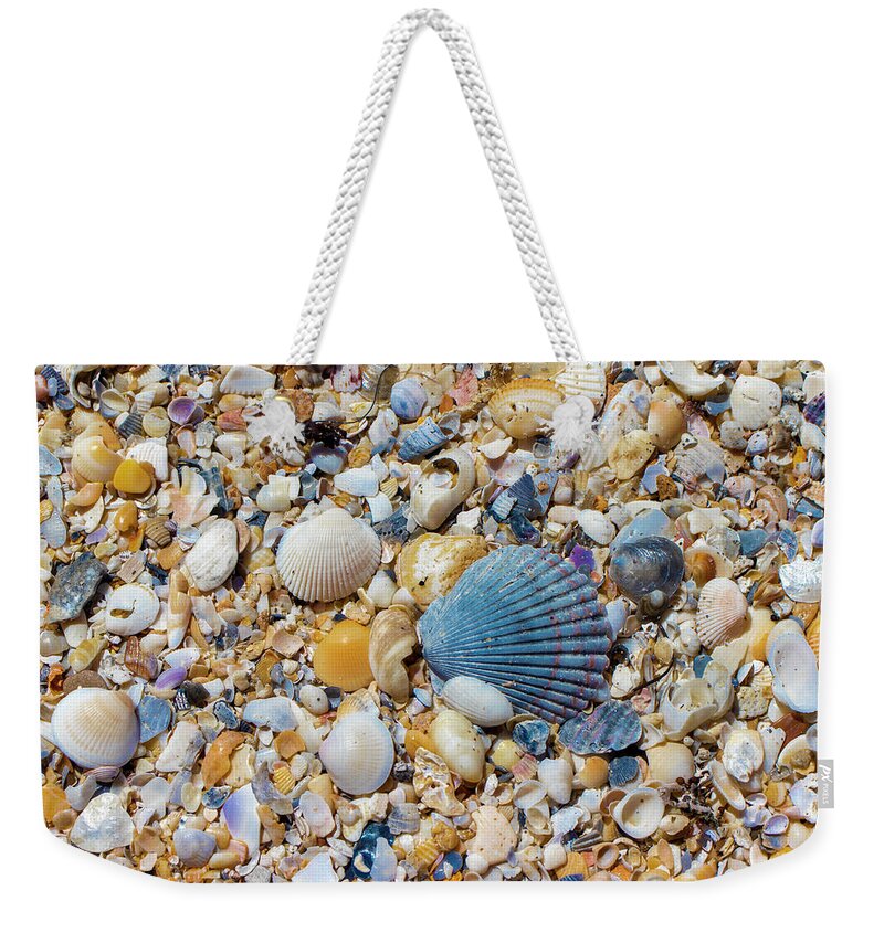 Shell Weekender Tote Bag featuring the photograph Ocean Shell Treasures by Blair Damson