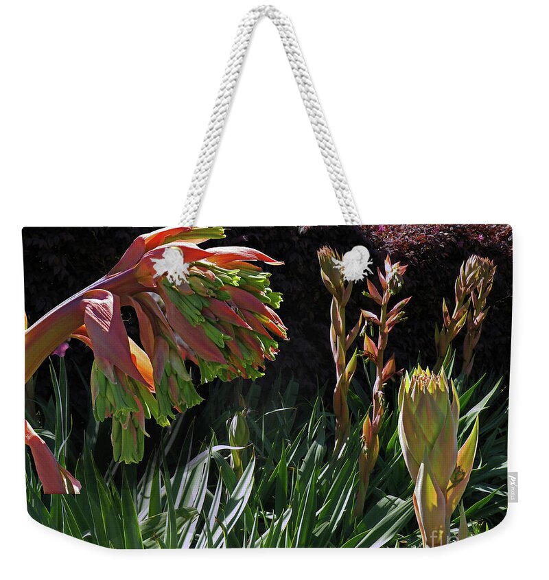 Mexican Lily Weekender Tote Bag featuring the photograph Mexican Lily - Beschorneria yuccoides by Klaus Jaritz