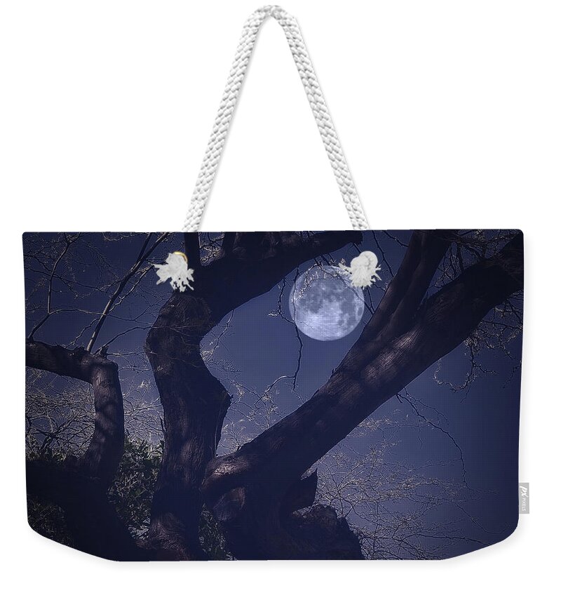 Midnight Weekender Tote Bag featuring the photograph Midnight in the Desert by Barbara Zahno
