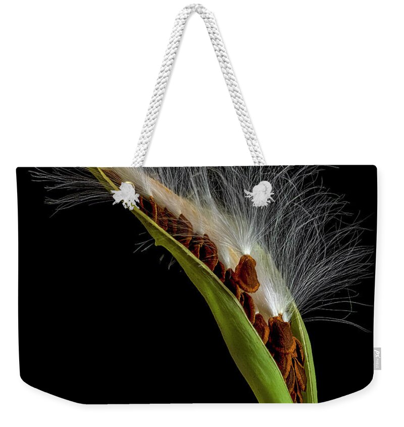 Milkweed Weekender Tote Bag featuring the photograph Milkweed Pod 3 by Endre Balogh