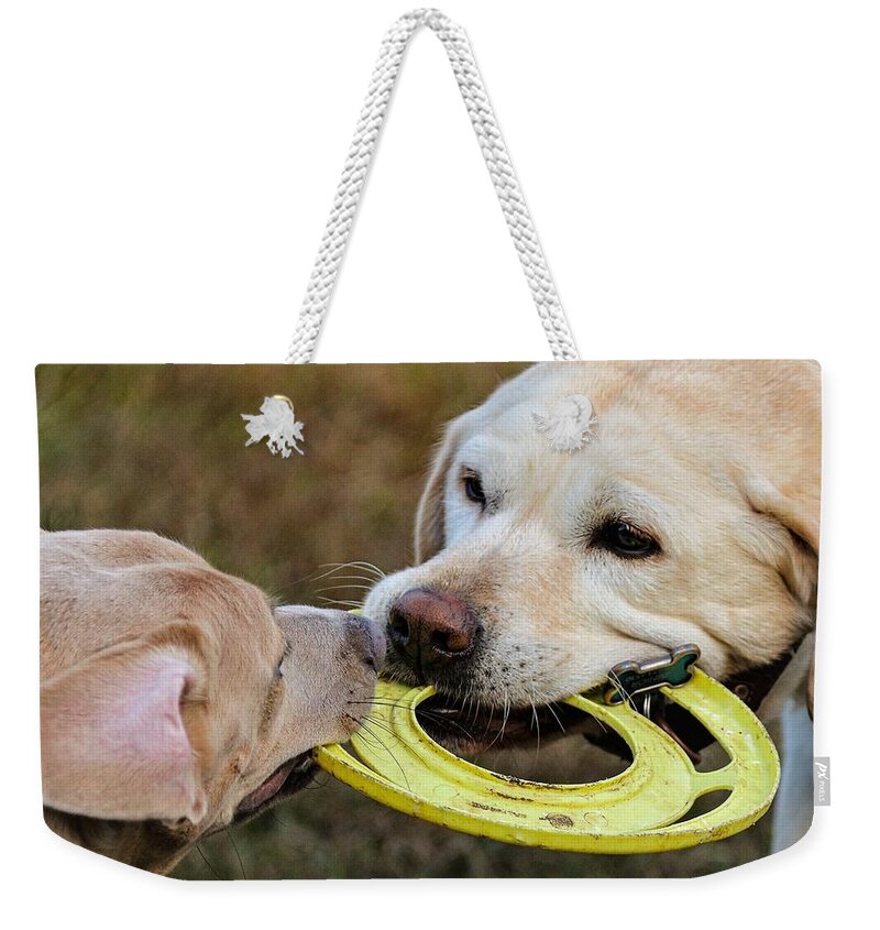 Dog Weekender Tote Bag featuring the photograph Mine by John Linnemeyer