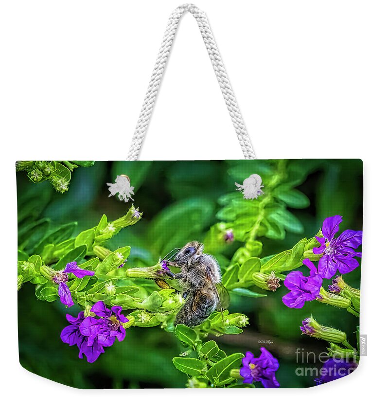 Bees Weekender Tote Bag featuring the photograph Mining Bee In Mexican Heather by DB Hayes