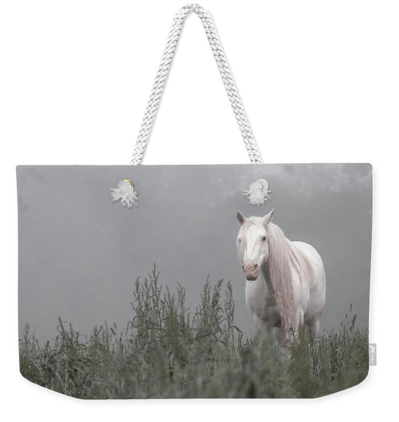 Missouri Weekender Tote Bag featuring the photograph Missing Shawnee by Holly Ross